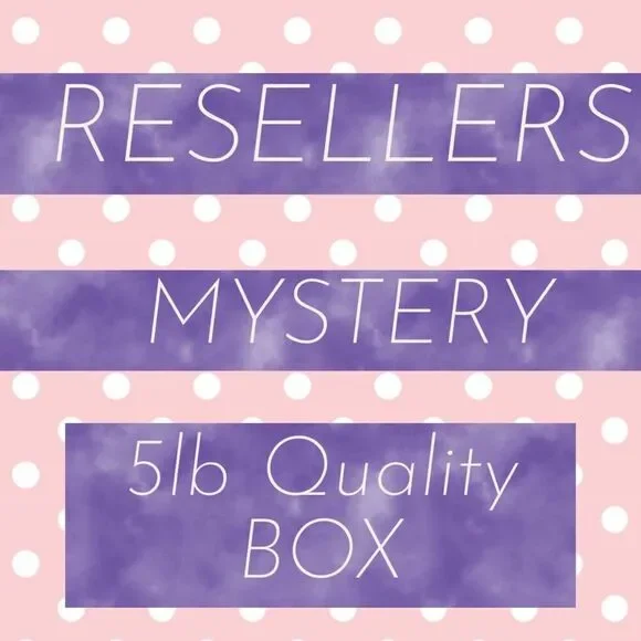 Resellers Deluxe Mystery Box! Exclusive Edition 8-11 mixed sized premium items - Picture 1 of 16